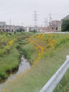 苔のむすまで♪